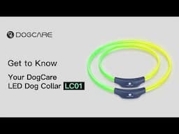 How to use DogCare LED Dog Collar LC01