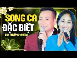 Song Ca Duy Phường, A Đam - Lk Song Ca Trữ Tình Hay Nhất 2025