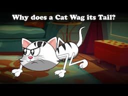 Why does a Cat Wag its Tail? + more videos | #aumsum #kids #cartoon #whatif