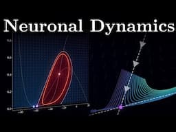 Elegant Geometry of Neural Computations