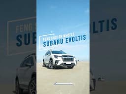 CNY 2025: Feng Shui on Wheels with Subaru Evoltis #shorts