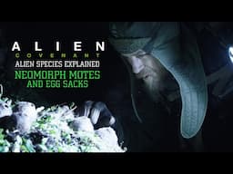 The Neomorphic Motes and Egg Sack (Stage 1 and 2) - Alien Species Explained