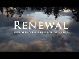 Restoring Fish Passage in Maine