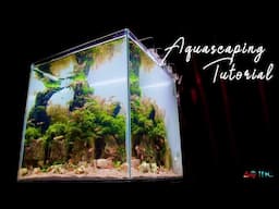 Step By Step Aquascaping Tutorial, Nature Style(50L)