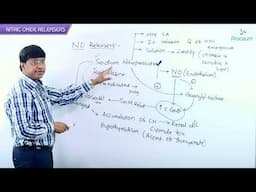 12. Vasodilators: Nitric Oxide Releasers: Anti- Hypertensive Drugs: CVS Pharmacology