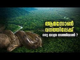 Journey to Amazon Forest Part-2 | The Biggest Rainforest in the World |ആമസോൺ വനത്തിലേക്ക് ഒരു യാത്ര