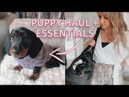 haul + essentials (miniature dachshund) | PUPPY VLOG