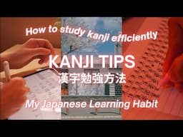 🇯🇵 How to Learn Kanji easily & consistently | My Japanese Learning Habit