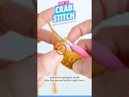 How to Crochet a Crab Stitch #crochet #crochettutorial #crocheting #amigurumi #yarn #crochetpattern