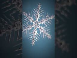 Snowflake generator - link in comments #blender3danimation #blender3dmodeling