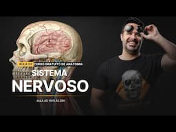 AO VIVO AULA 3: Sistema Nervoso