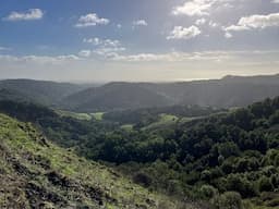 Impacts of Precipitation Variability on Landslides in San Francisco Bay Area Due to Climate Change