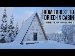 Building Our Off Grid Cabin in Alaska | One Year TIMELAPSE