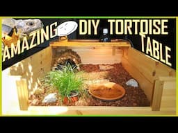 HOW TO MAKE AN AMAZING TORTOISE TABLE | ULTIMATE DIY Reptile Enclosure