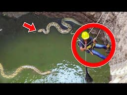 Worker Finds Giant Snake Pit - He Is Surprised When He Discovers What Is At The Bottom