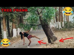 new tree prank videos|