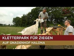 Eine neue Herausforderung wartet auf die "Harten Hunde" 🐐 | Harte Hunde