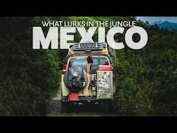 What Do the Jungles of Mexico Have in Store? | San Luis Potosi, Mexico