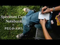 How to use the Specimen Card Notebook by Peg and Awl #art