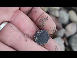 Metal detecting an old Montana beach for treasure. Ep 330