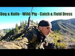 Harvesting Wild Pork in Beautiful New Zealand Wilderness with 2 Dogs & Knife