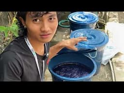 NATURAL DYE with INDIGO