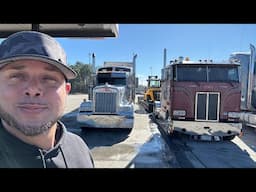 CABOVER And W900 Studio Take a Break !! $3700 in 3 days OTR CDL !! TQL comes around