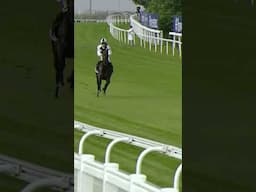 Jockey jumps off horse at 40mph! #horse #horseracing #racingtv #sport #britishhorseracing