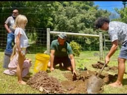 How to Grow Breadfruit ('Ulu) Trees