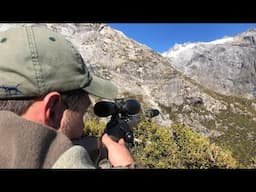 We waited 3 hours for the shot! Hunting Bull Tahr New Zealand - Landsborough Valley