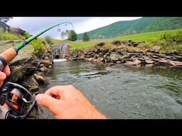 I Took My Brother To My Favorite SECRET Smallmouth Dam