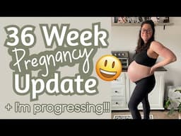 36 Week Pregnancy Update | Group B, Belly Shot, Maternity Photos