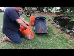 Garden  Update - Refreshing Old Planting Mix