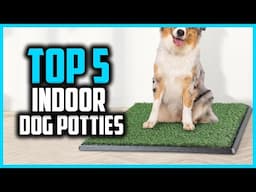 ✅Top 5 Best Indoor Dog Potties in 2025