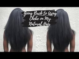 Going Back to Using Chebe on My Natural Hair!