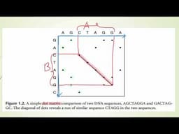 How to Analyse Dot Plot Matrix