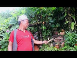 Unseen Beautiful Mountain Village Daily Life of East Nepal | Cardamom Harvesting in The Jungle