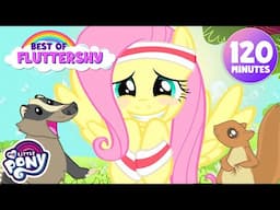 My Little Pony em português | Episódios de Fluttershy | A Amizade é Mágica | 2 horas