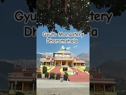 Gyuto Monastery Dharamshala #gyutomonastery #Gyuto #dharamshala #monastery