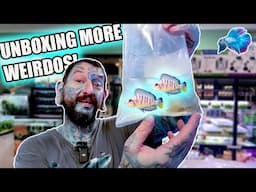 UNBOXING MORE STRANGE FISH! Pauls Aquariums Live Fish Unboxing!