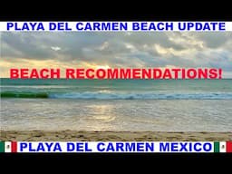 PLAYA  DEL CARMEN MEXICO BEACH AND SEAWEED UPDATE - THREE BEACH RECOMMENDATIONS - NOTICEABLE EROSION