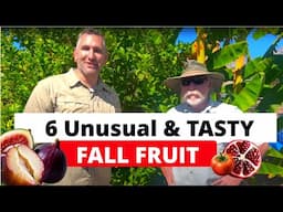 Grow These 6 Unusual Fall Fruits in Your Backyard! | With Fruit Tree Expert: Tom Spellman