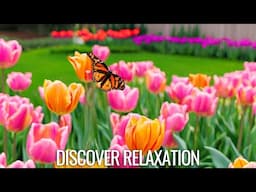 Beautiful Spring Flowers with Relaxing Music for Stress Relief,  Peaceful Soothing Music