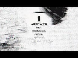 The difference between MUD\WTR and Mushroom Coffee