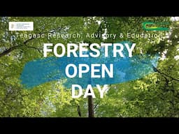 Forestry Open Day 2024 - discover Teagasc's forestry research, advisory and education programmes