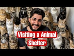 Pakistan's LARGEST Animal Shelter EXPOSED!