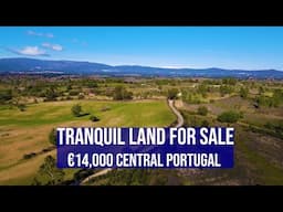 TRANQUIL LAND €14K CENTRAL PORTUGAL - HOMESTEAD FOR SALE, FUNDAO