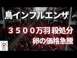 鳥インフル蔓延　卵価格が高騰