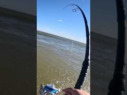 Jigging Striped Bass In The Surf!