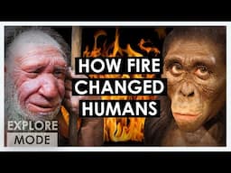 How humans tamed fire  | How fire changed humanity  | EXPLORE MODE